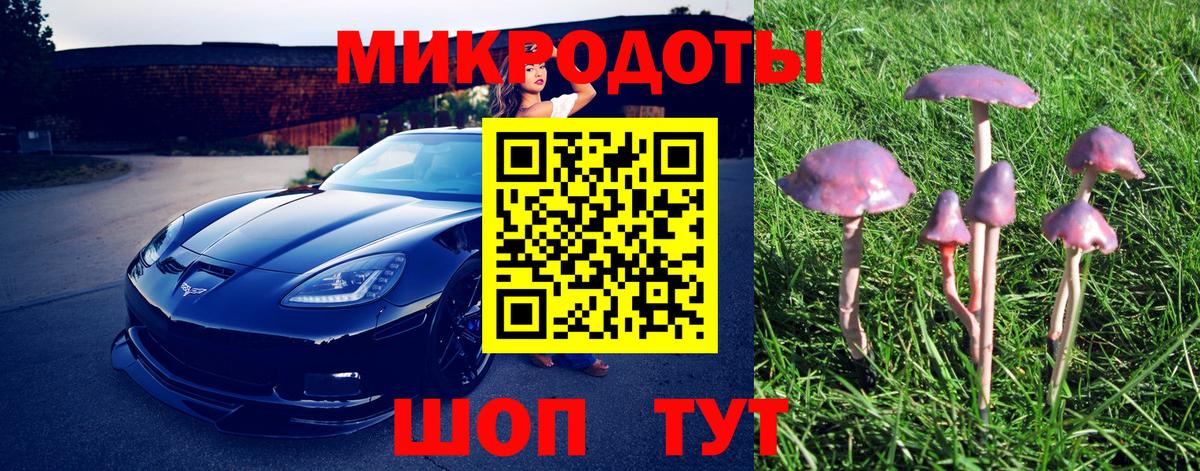 Галлюциногенные грибы прущие грибы  Псилоцибиновые грибы прущие грибы  Вход с VPN  Трёхгорный 
