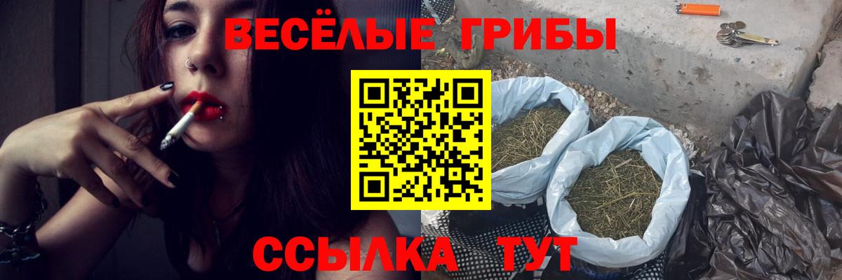 Псилоцибиновые грибы мицелий Трёхгорный
